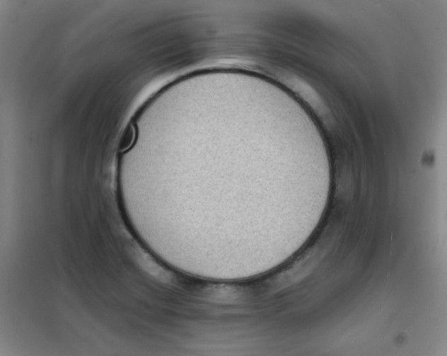 X0000101111420200807241125