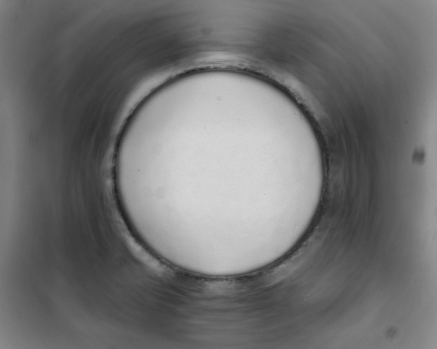 X0000101111421200807241125