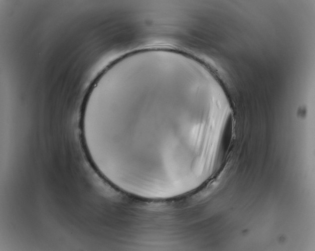 X0000101111422200807241125