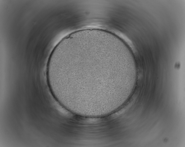 X0000101111423200807241125