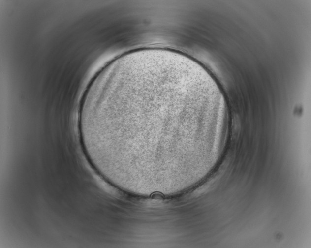 X0000101111424200807241125