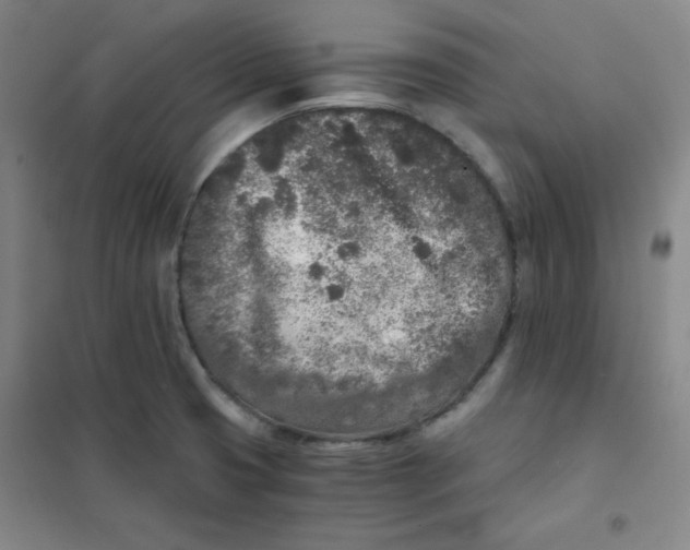 X0000101111425200807241125