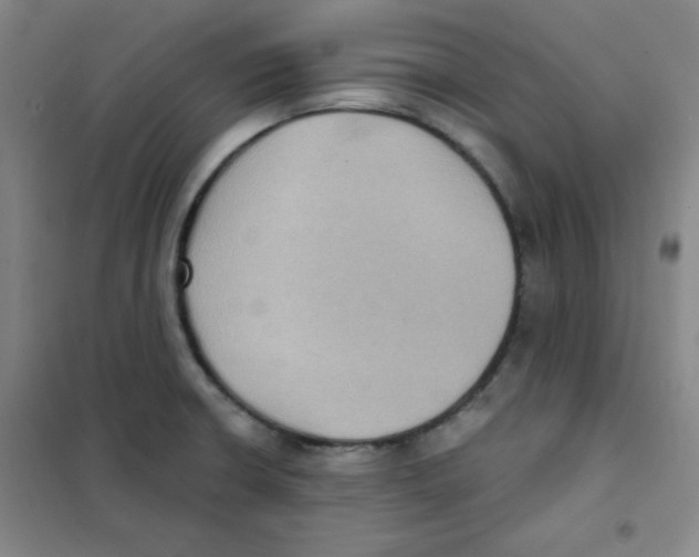 X0000101111426200807241125
