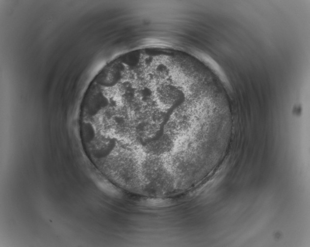 X0000101111427200807241125