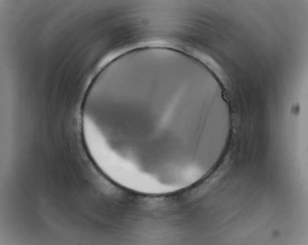 X0000101111428200807241125