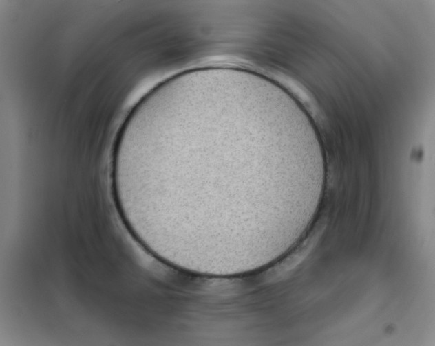 X0000101111430200807241125