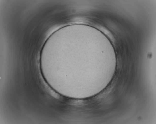 X0000101111431200807241125