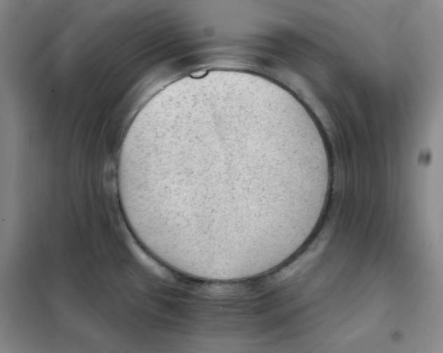 X0000101111433200807241125