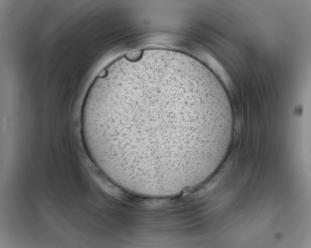 X0000101111435200807241125
