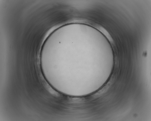 X0000101111436200807241125