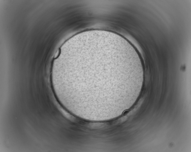 X0000101111437200807241125