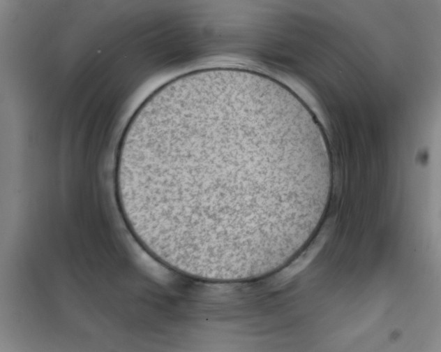 X0000101111438200807241125