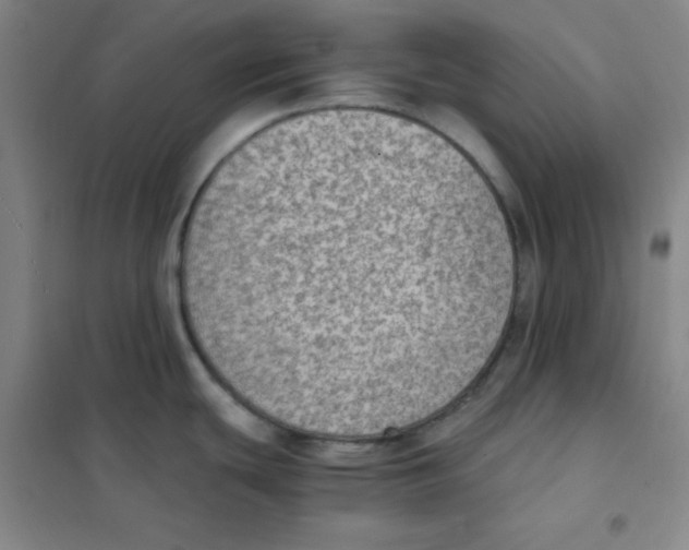X0000101111439200807241125