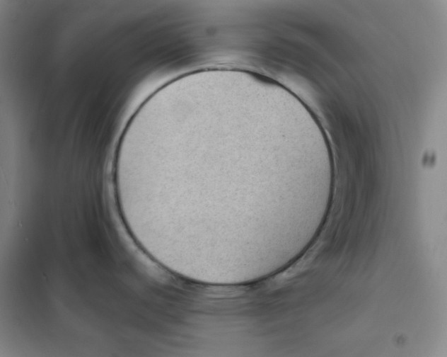 X0000101111440200807241125