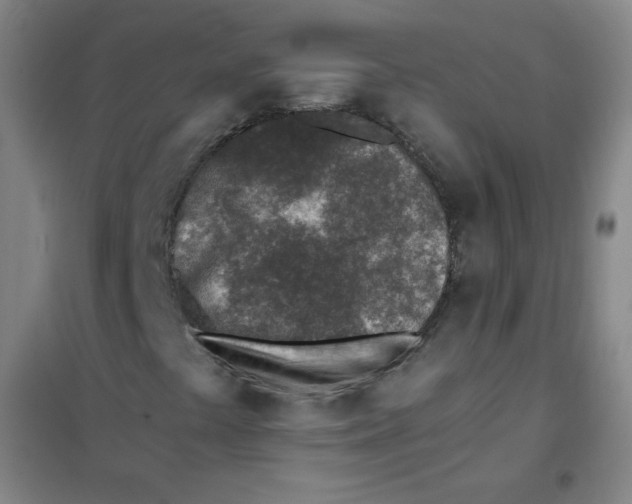 X0000101111441200807241124