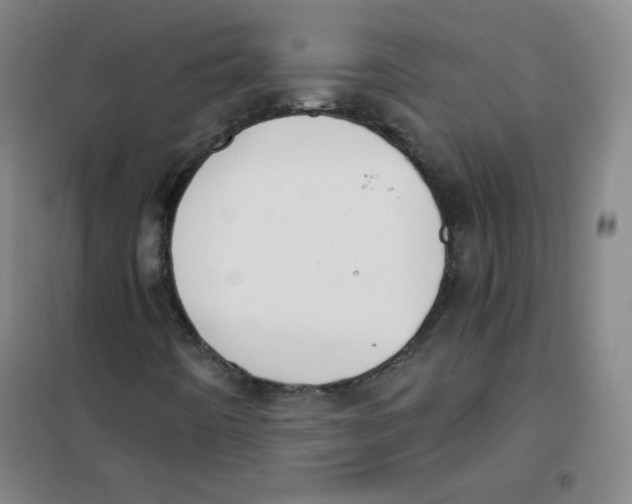 X0000101111442200807241124