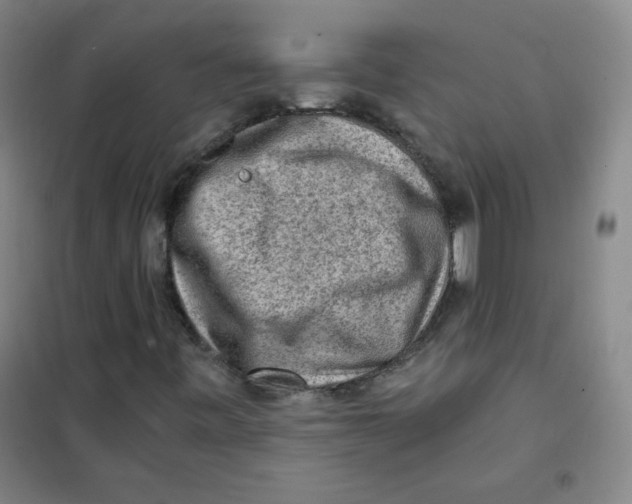 X0000101111443200807241124