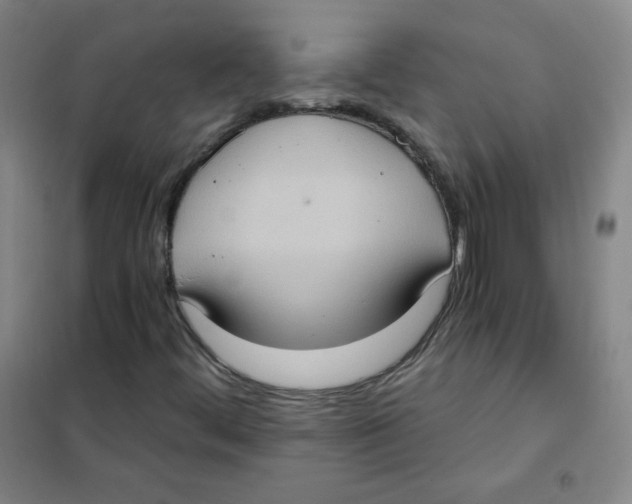 X0000101111444200807241124