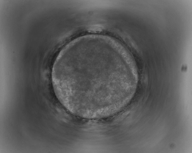 X0000101111445200807241124