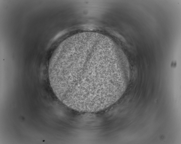 X0000101111446200807241124