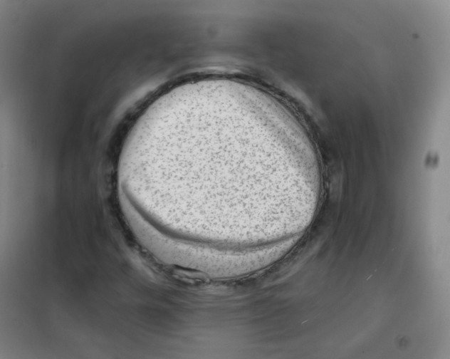 X0000101111448200807241124