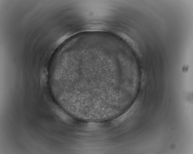 X0000101111449200807241124