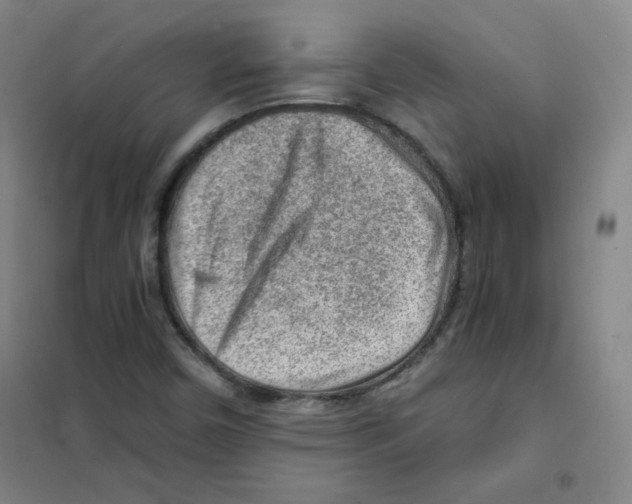 X0000101111450200807241124