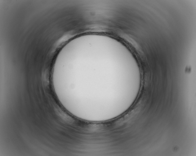 X0000101111451200807241124