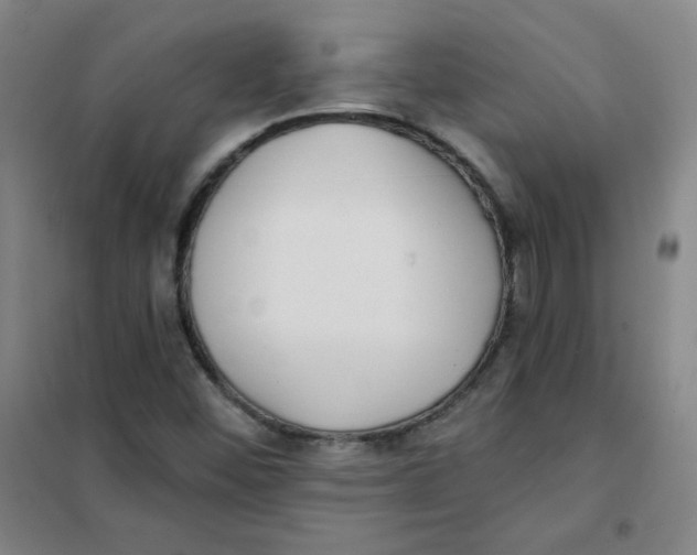 X0000101111452200807241124
