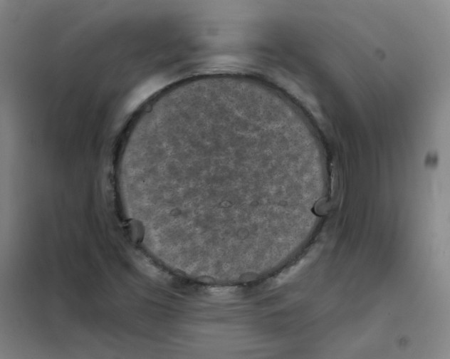 X0000101111453200807241124