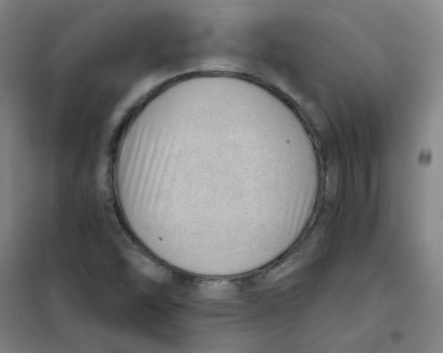 X0000101111454200807241124