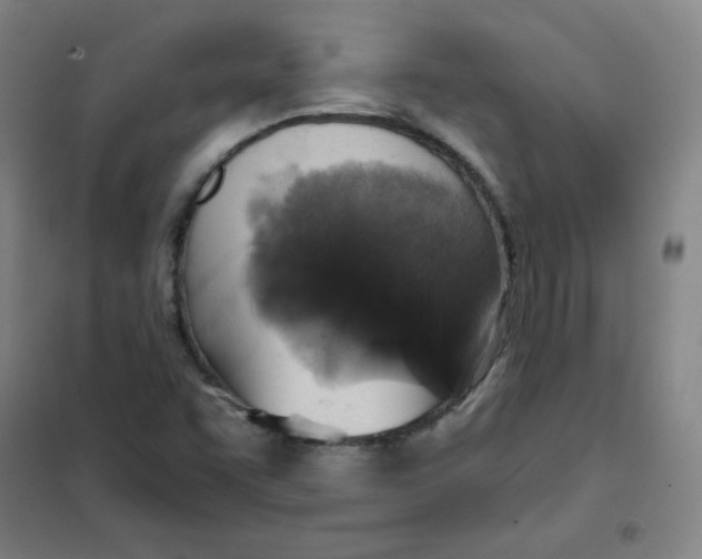 X0000101111455200807241124