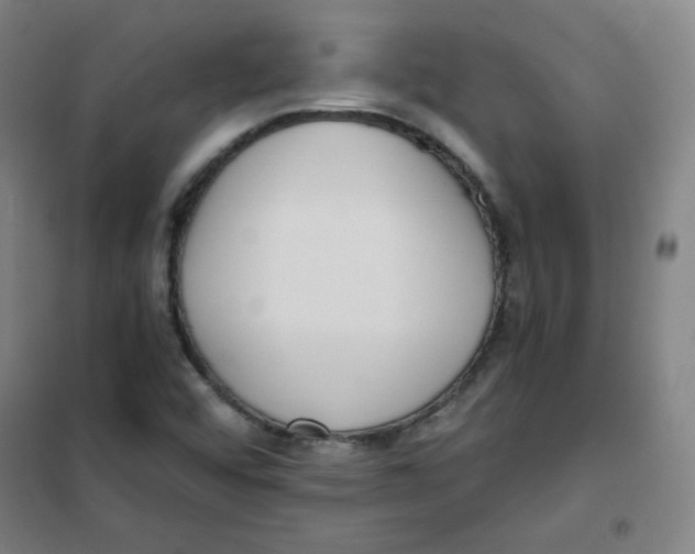 X0000101111456200807241124