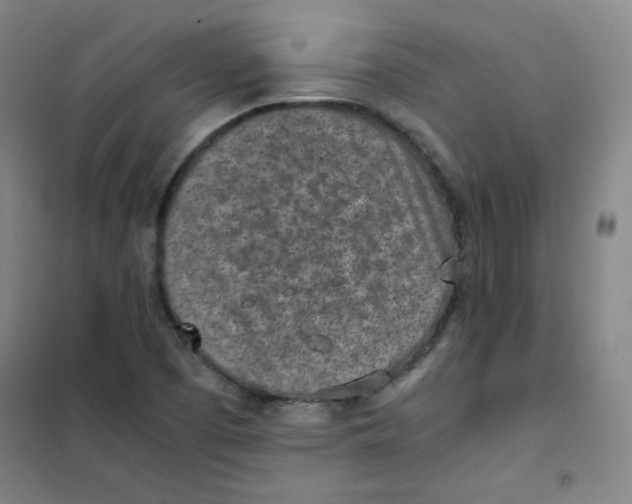 X0000101111457200807241124
