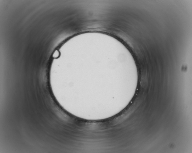X0000101111458200807241124