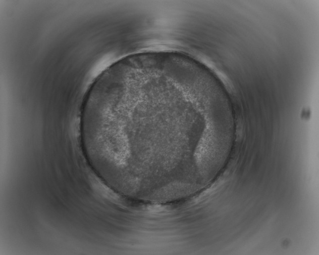 X0000101111459200807241124