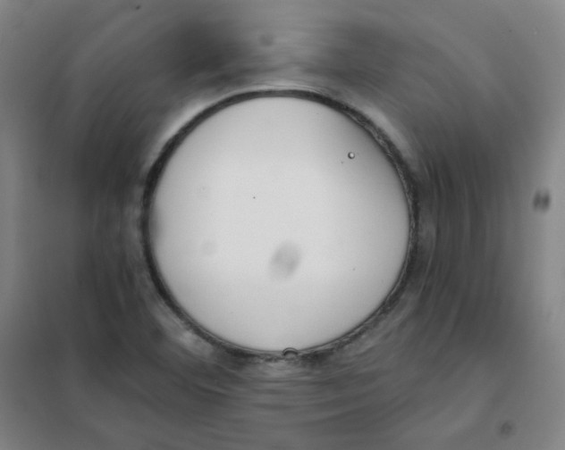 X0000101111460200807241124
