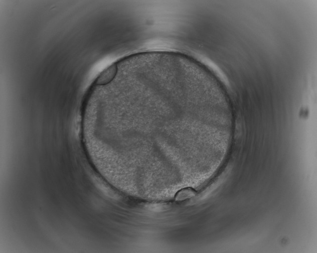 X0000101111461200807241124