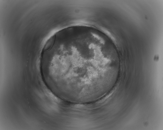 X0000101111463200807241124