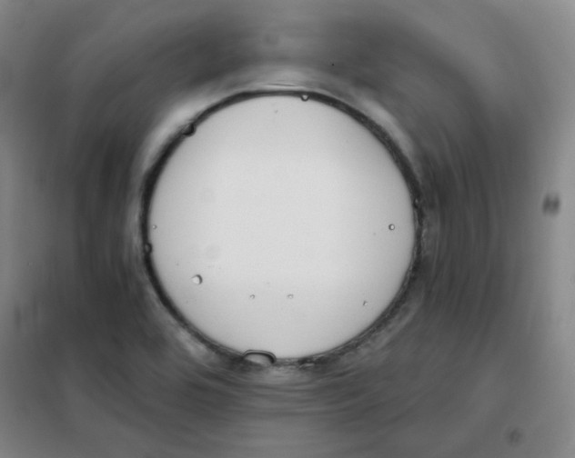X0000101111464200807241124