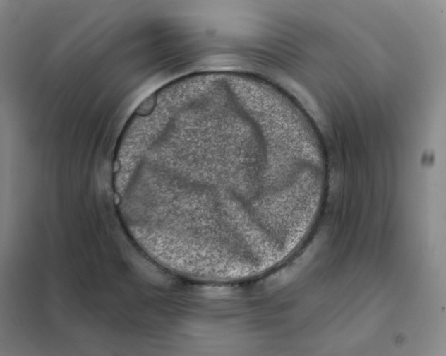 X0000101111465200807241124