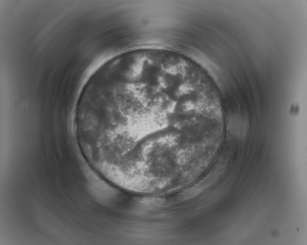 X0000101111466200807241124