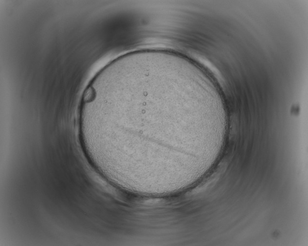 X0000101111467200807241124