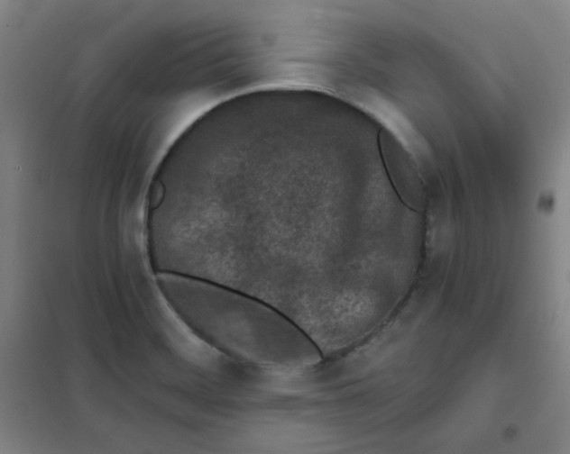 X0000101111468200807241124