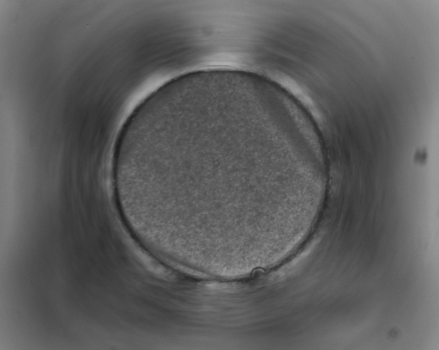 X0000101111469200807241124