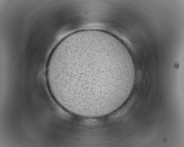 X0000101111470200807241124