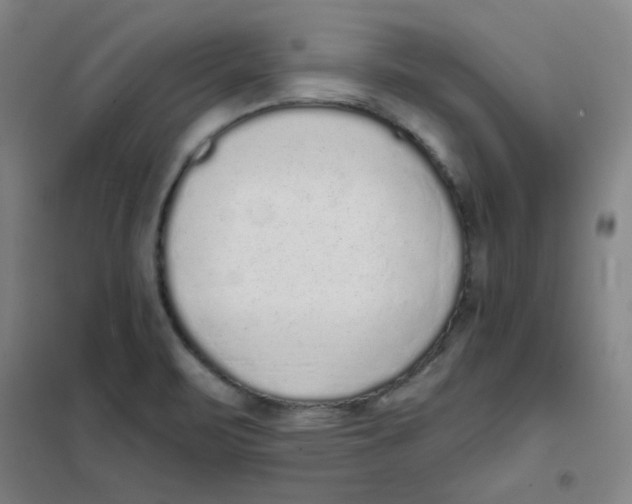 X0000101111471200807241124