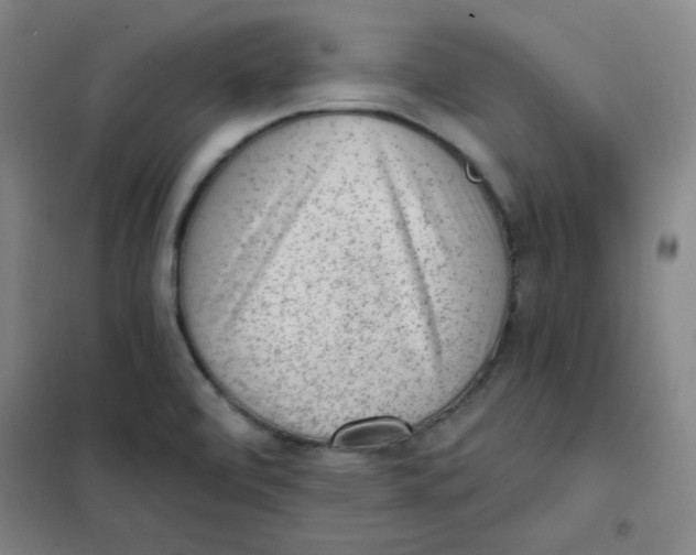 X0000101111472200807241124