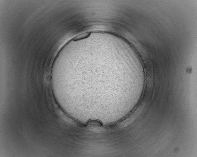 X0000101111473200807241124