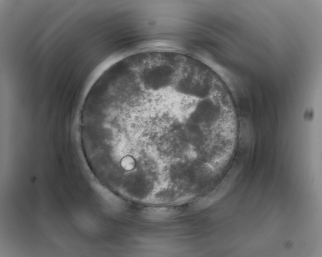 X0000101111474200807241124
